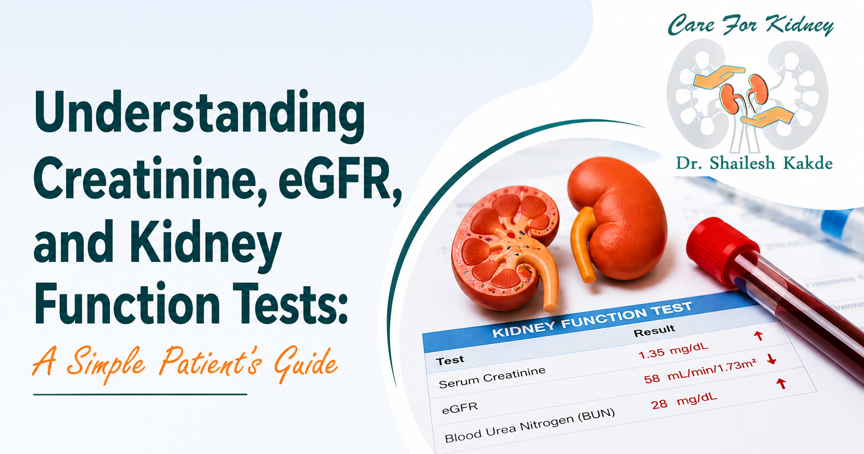 Understanding Creatinine, eGFR, and Kidney Function Tests: A Simple Patient's Guide with Dr. Shailesh Kakde logo, kidney illustration, and kidney function test report.